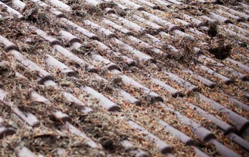 Huntly roof cleaning companies